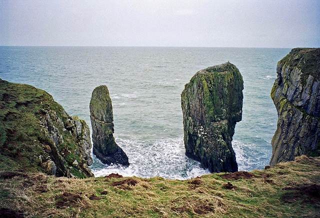 Elegug Stacks (Feb 1995 scan)