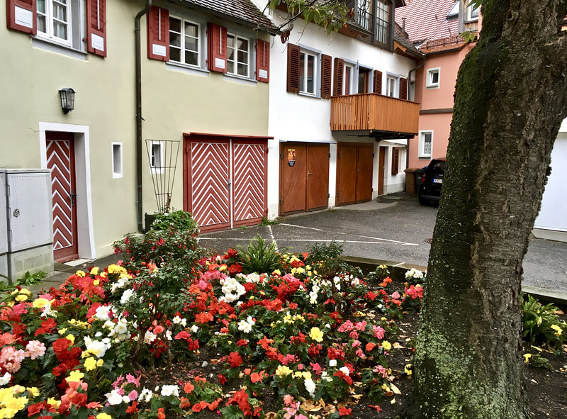 Blühender Vorgarten
