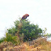 DSCF0496-001+20