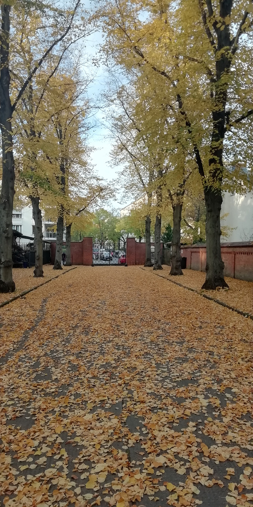 Friedhof im Herbst