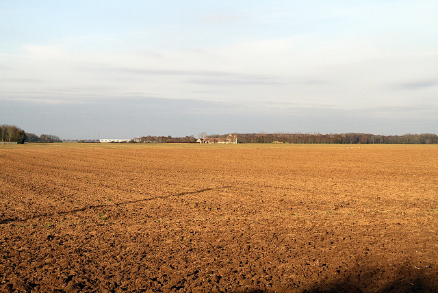 Chemin de Lady - 6194