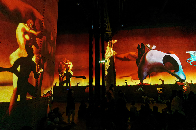 Dali à l'Atelier des Lumières (3)