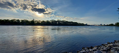 Rhine in Lindenhof