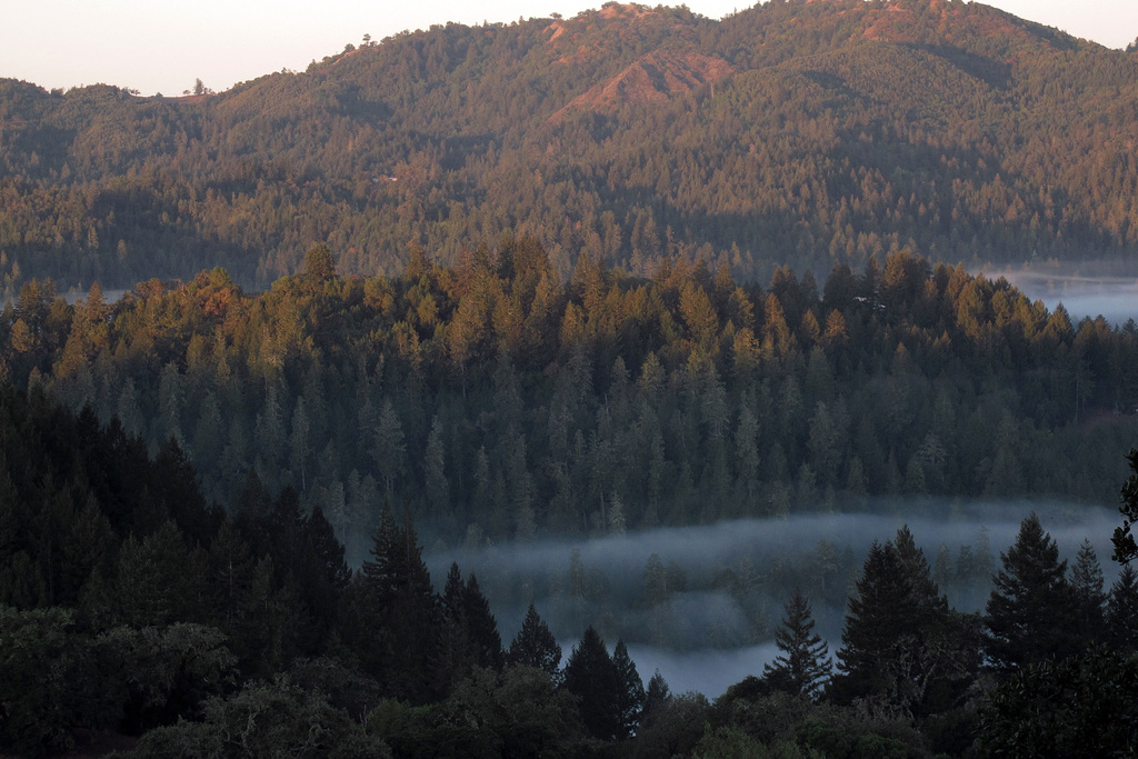 View From Julie Andrews Point (1311)