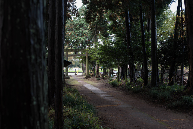 Path to a shrine