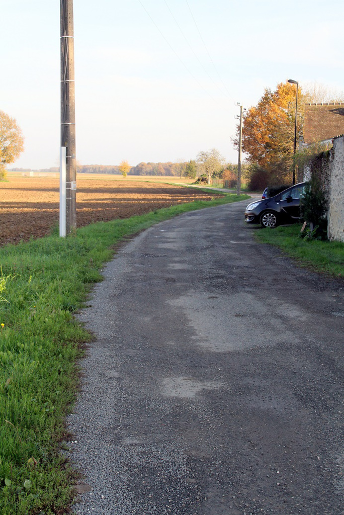 Chemin de Lady - 6196
