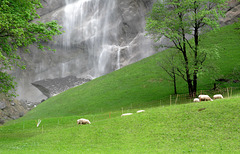 Lauterbrunnen, Staubbach falls and ship HFF!