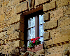 ... fenêtre à Sarlat ...