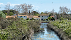 Eine Häuserzeile von Le Douhet am Rande des Marais du Douhet - 2016-04-27_D4_DSC6852