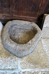 golant (24)