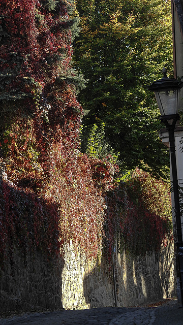 20181014 4203CPw [D~LIP] Stadtmauer, Altstadt, Bad Salzuflen