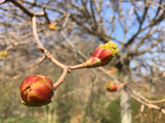 Frühling