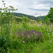 Virneburg in der Eifel