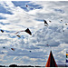 festival degli aquiloni 2016 ... cerf-volant ... kite