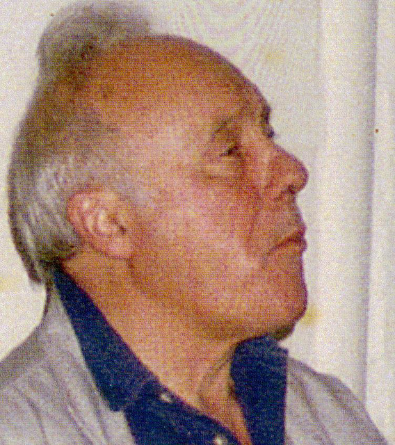 Patrick Heron at Camden Arts Centre, October 1994.Photograph Kieron Farrow