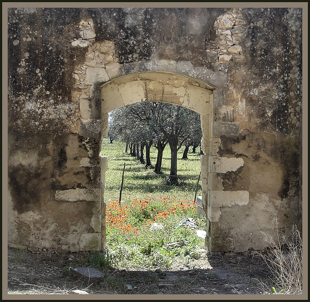 Ruina a Cassibile. Prov. Siracusa