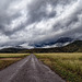 The Huachuca Mountains