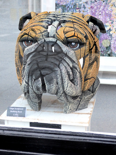 Bulldog Bust - 19 September 2020