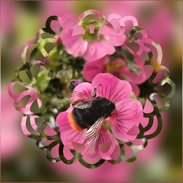 Bumblebee