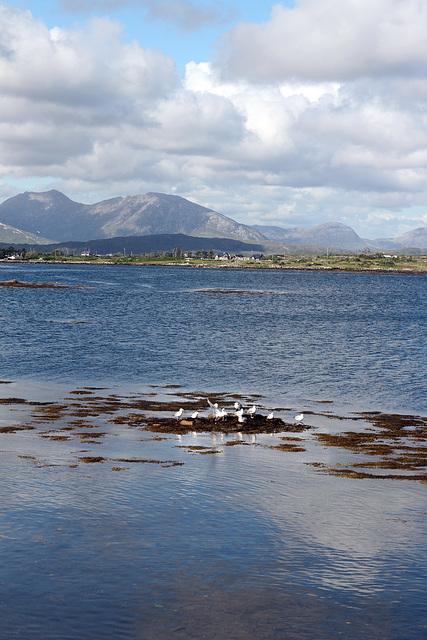 Roundstone