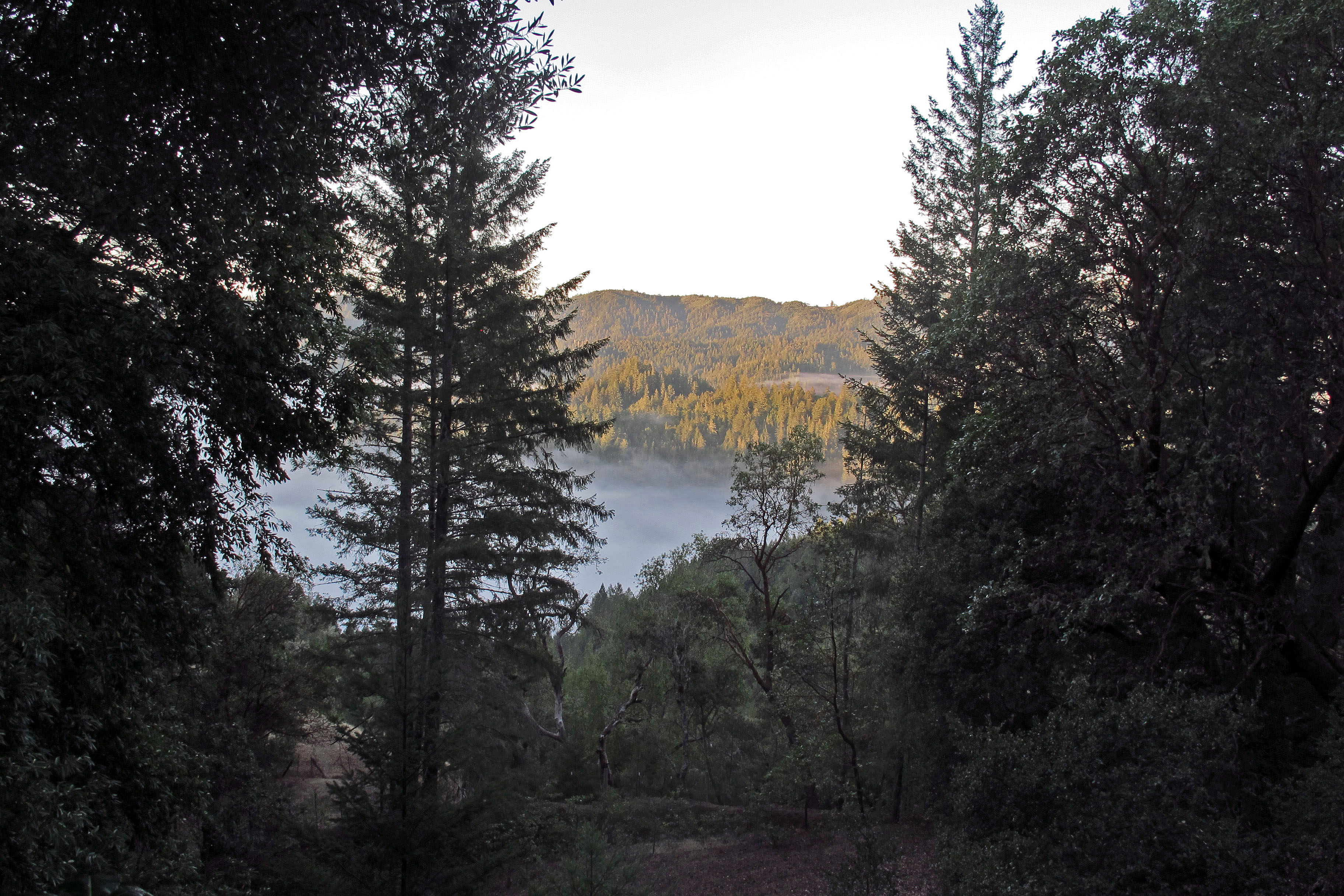 View From Julie Andrews Point (1350)