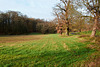 wiese-1220139-co-03-12-15