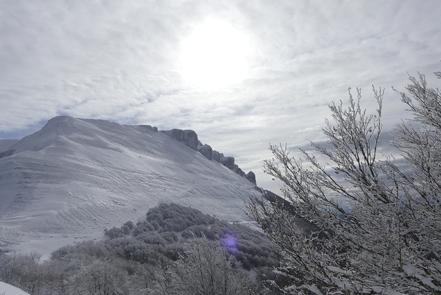 20170211 Raquettes Vercors sud Col de la bataille (59) al