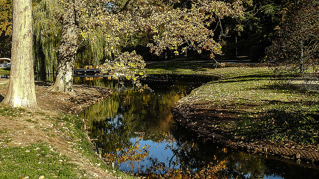 20181014 4205CPw [D~LIP] Salze, Kurpark, Bad Salzuflen