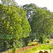 VÖ0000259