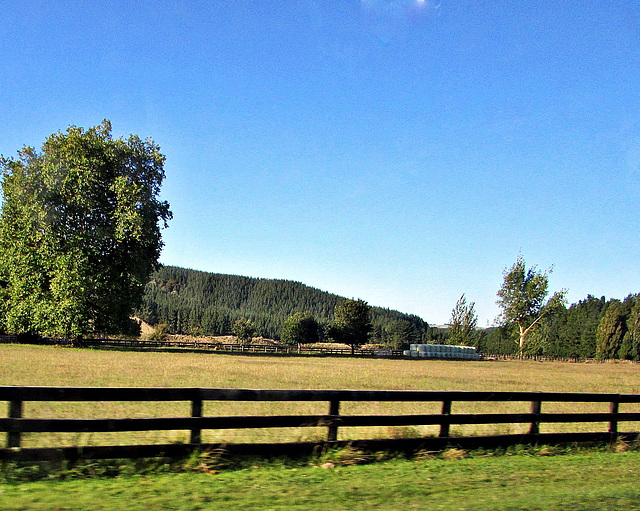 Beyond the Farm Fence.