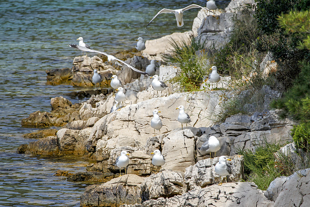 Kornati, Parco Nazionale - Croazia