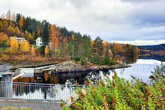 Bunter Herbst - HFF Norwegen Bunter Herbst - HFF Norwegen