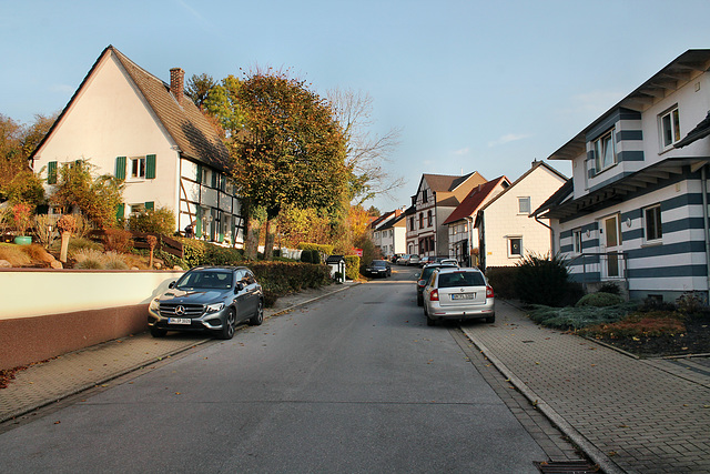 Bergstraße (Unna-Massen) / 12.11.2016