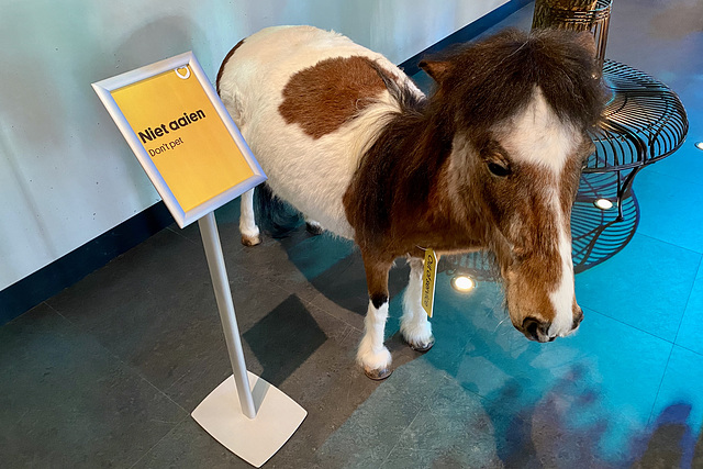 Naturalis 2020 – Do not pet