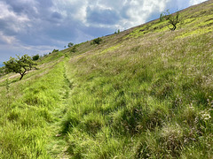 The footpath east of Cown Edge