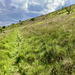 The footpath east of Cown Edge