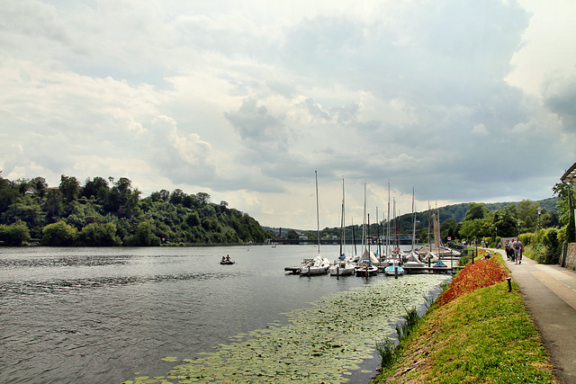 Am Ufer des Baldeneysees (Essen-Bredeney) / 27.06.2021