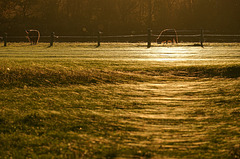 HFF - Altweibersommer