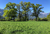 Bludesch Österreich