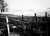 No Mans Land
