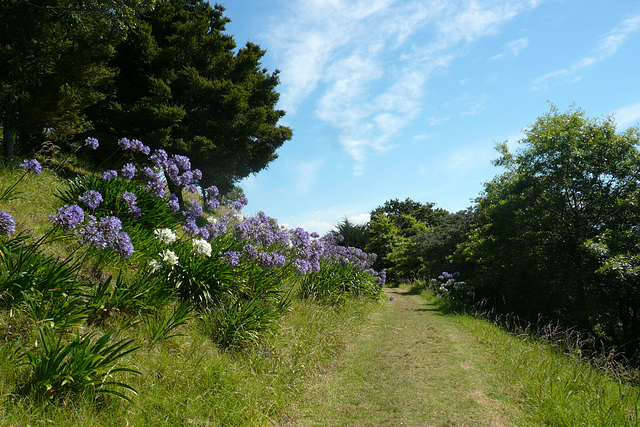 Mount Victoria