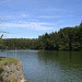 am Rundweg - Bodenwöhrer Weiher