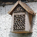Solitary bees building nests