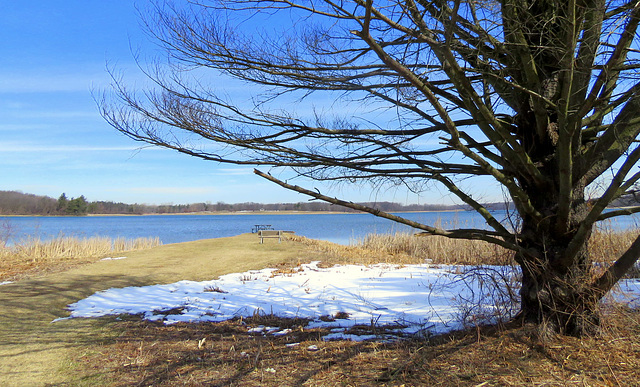 Stony Creek Metropark