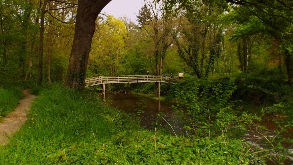 DSCF7474