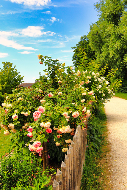 Auf der Fraueninsel im Chiemsee