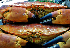 Fish Stall. Grainger Market. Newcastle