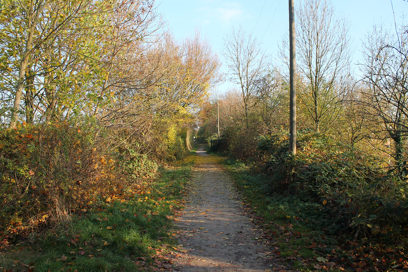 Wanderweg auf der ehemaligen Zechenbahn (Unna-Massen) / 12.11.2016