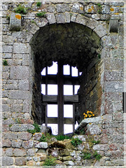 Détail des restes du château d'Hédé (35)