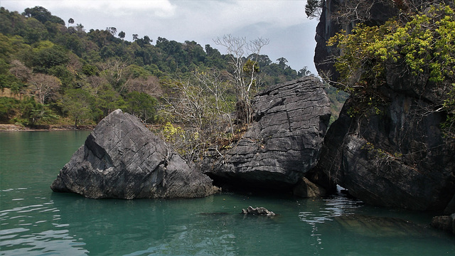 La Thaïlande au naturel.....